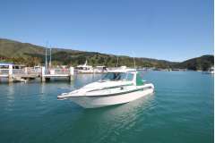 Rayglass 850 Legend hardtop, 2 berths, Mercruiser 6.2 MPI, tidy condition