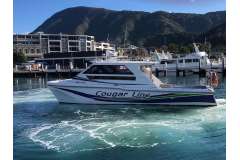 Cougar Cat 9.9M surveyed Catamaran, all GRP, twin D4 Volvos