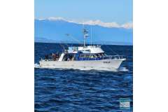 FV STELLA: Commercial Charter Fishing Vessel FV STELLA: Commercial Charter Fishing Vessel