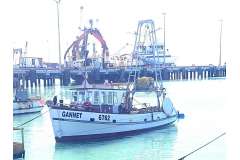 Carey Ex-Fishing Vessel GANNET