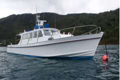 ANA ROSA: 1974 kauri Morgan 41 
