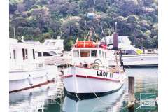 LADY HR- tidy, simple 31ft kauri fishing boat