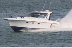 Genesis 320 European