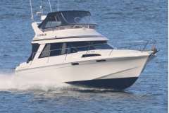 Vindex 375 - Flybridge
