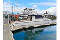 Cougar power Cat 40ft