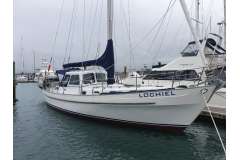 Salar 40