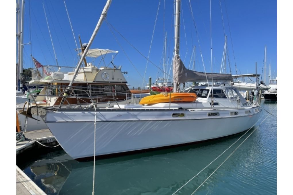 young 43 yacht for sale